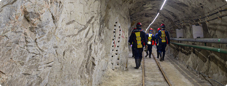 山东意昂2冶炼股份有限公司