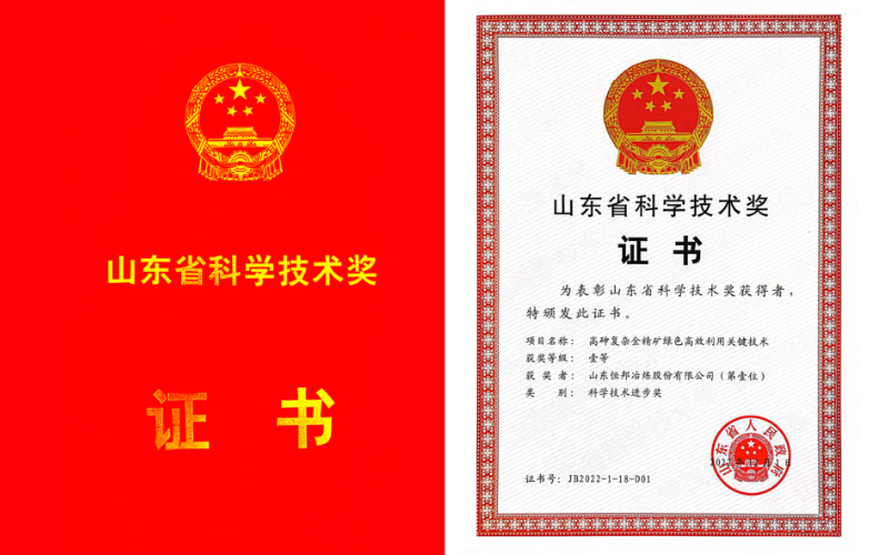 山东省科学技术奖一等奖